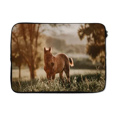 Produktbild von MuchoWow® Laptop Hülle 14 ZollPferd - Licht - Natur Laptoptasche - Laptoptasche - Stoßsicher - Schutzhaube