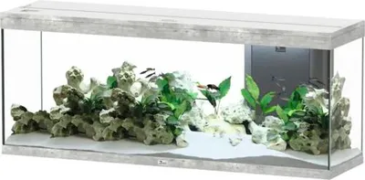 Produktbild von Aquarium aquatlantis Splendid 300 inkl. Beleuchtung, Filter steinoptik