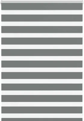 Obrázek produktu pro Maison Exclusive – dvojitá roleta tmavě šedá 95 x 100 cm, šířka látky 90,9 cm, polyester