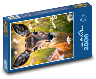Obrázok produktu pre Puzzle 2000 Jelenča na lúke - martinpuzzle