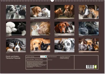 Produktbild von Hund und Katze - Tierische Freunde (Wandkalender 2026 DIN A2 quer), CALVENDO Monatskalender
