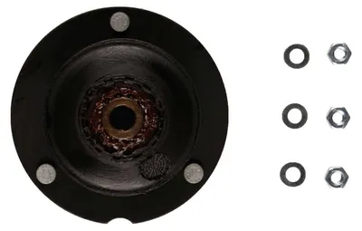Image de Palier de la jambe de force