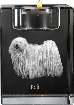 Produktbild von Puli - Kerzenhalter mit Hundefoto, Teelichthalter aus Kristall, personalisiertes Geschenk der Marke Art-Dog