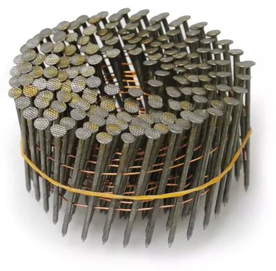 Immagine prodotto di Chiodi Da Carpentiere, Chiodi Su Nastro Pansam A536638 2,1X38Mm, 7000Pz (20 Rotoli)