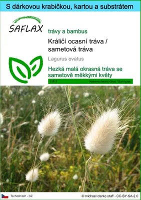 Obrázek produktu pro SAFLAX Dárková sada - Králičí ocasní tráva / sametová tráva - Lagurus ovatus - 100 Semena - S dárkovou krabičkou, přepravním štítkem, dárkovou kartou a pěstebním médiem