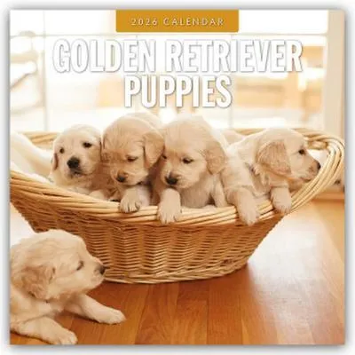 Produktbild von Golden Retriever Puppies 2026 Square Wall Calendar