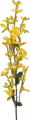 Produktbild von GASPER Forsythie Gelb großblumig 67 cm - Kunstblumen