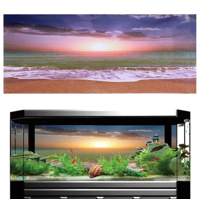 Produktbild von Poster für Aquarium, Poster für Aquarium, 3D-Effekt-Poster, Klebeposter, Sonnenaufgangsposter