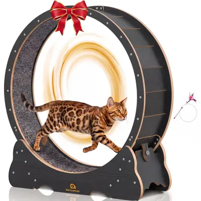 Katzenlaufrad XL 113 cm, leise, Indoor-Trainingsrad