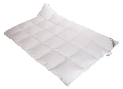 Produktbild von Betten Hofmann Belladream Daunendecke Daunenbett 4x6 155x220 cm 100% Daunen Außensteg