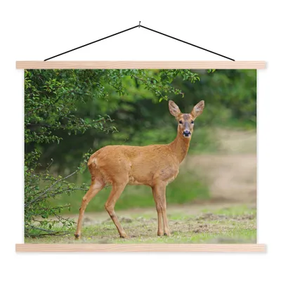 Produktbild von MuchoWow® Textilposter Hirsche - Gras - Wald 40x30 cm mit holzfarbenen Rahmen - Bilder