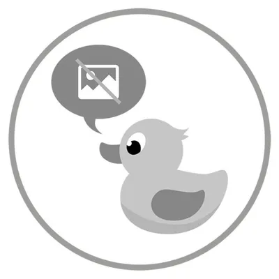 A cartoon duck with a speech bubble indicating no image.