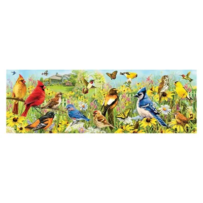 Image de Eurographics Garden Birds - Greg Giordano Panorama (1000)
