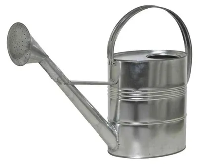 Image de SIENA GARDEN Arrosoir en zinc 10 l, argent