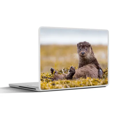 Produktbild von MuchoWow® Laptop Aufkleber Sticker Cover Schottische Otter 30x22 cm - Laptop-Sticker