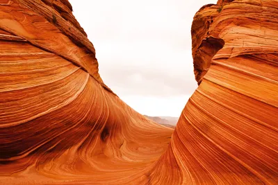 Produktbild von Fototapete - Desert 375x250cm - Vliestapete