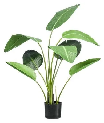 Produktbild von Strelitzia Nicolai Kunstpflanze 120 cm