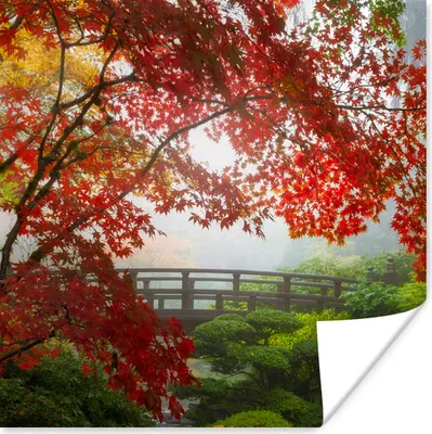 Produktbild von MuchoWow® Poster Japanischer Ahorn - Bäume - Brücke - Natur - Japanisch 100x100 cm - Babyzimmer