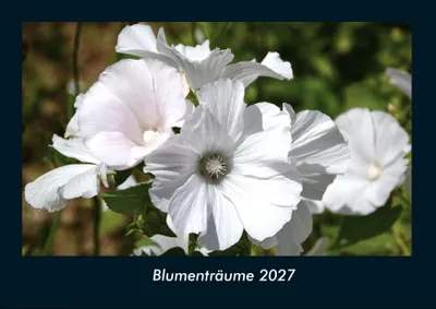 Produktbild von Blumenträume 2027 Fotokalender DIN A4