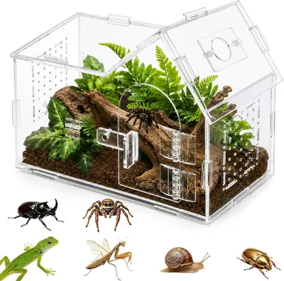 Image de Terrarium pour reptiles, en acrylique transparent, avec des orifices de ventilation, offrant une vue à 360°, idéal pour l'élevage