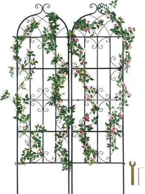 Immagine prodotto di set di 2 tralicci per piante rampicanti 51x180cm