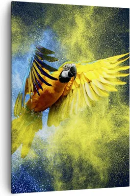 Produktbild von Bild auf Leinwand - Leinwandbild - Einteilig - Papagei Vogel Feder - 70x100cm - Wand Bild - Wanddeko - Wandbilder - Leinwanddruck - Wanddekoration - Leinwand bilder - Wandbild - PA70x100-3666