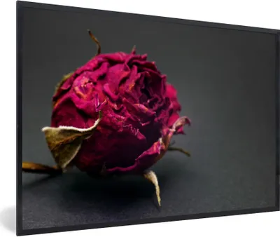 Produktbild von MuchoWow® Gerahmtes Poster Rosen - Farbton - Rot 90x60 cm - Poster mit Schwarzem Bilderrahmen Wandposter Rahmen Foto Bilder - Fotorahmen - Foto-Plakat
