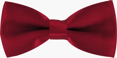 Produktbild von axy Kinderfliege, Kinder Jungen Fliege 10 x 5 cm,  bereits gebunden, verstellbar, glänzend, Seidenlook Hochzeit-Festliche Mode