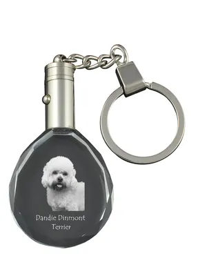 Produktbild von Dandie Dinmont Terrier - Anhänger mit einem Foto eines Hundes, Schlüsselanhänger aus Kristall in einer Geschenkbox, ein einzigartiges Geschenk von Art-Dog