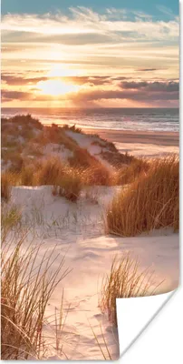 Produktbild von MuchoWow® Poster Düne - Pflanzen - Sonnenuntergang - Strand - Meer 60x120 cm - Wandschmuck