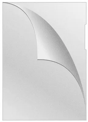 Image de Pochette En Forme De L Pour Documents Q-Connect Type L, Diffuse, Pp, A4, Pelure D'orange, 100 Microns, 50 Pcs, Transparent