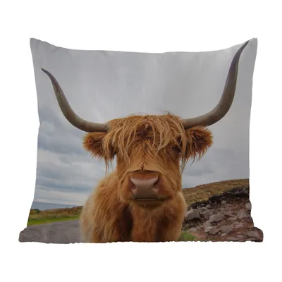 Produktbild von MuchoWow® Outdoor Kissen - Schottisches Hochlandrind - Hörner - Berg - 45x45 cm - Wetterfest - Lounge Kissen - Fotokissen - Dekoratives Kissen