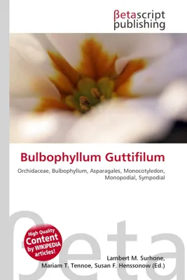Produktbild von Bulbophyllum guttifilum