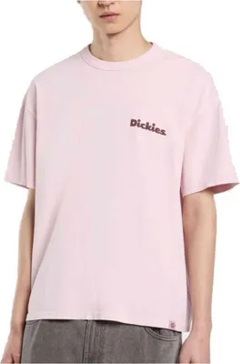 Produktbild von Dickies T-shirt DK0A87QRK731 in ORCHID color size x-large