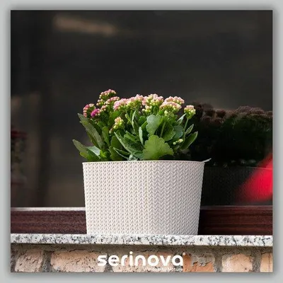Image de Bac à fleurs ovale 30 cm - Beige Jardinière avec réservoir d'eau et drainage - Convient pour l'intérieur et l'extérieur