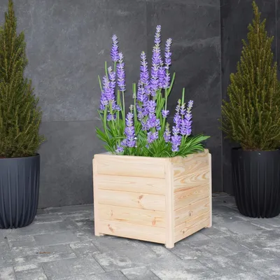 Immagine prodotto di TIMBERMIK Fioriera in Legno 40x40x35 cm – Cassetta per Piante Rettangolare Levigata da Giardino Balcone Interno Esterno Naturale