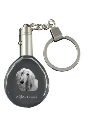 Produktbild von Afghanischer Windhund, Afghane - Anhänger mit einem Foto eines Hundes, Schlüsselanhänger aus Kristall in einer Geschenkbox, ein einzigartiges Geschenk von Art-Dog