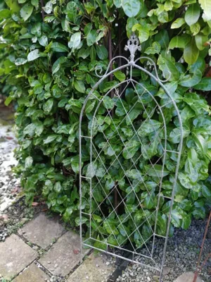 Produktbild von Shabby Chic Rankgitter Nicca
