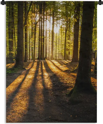 Produktbild von MuchoWow® Wandteppich Wandbehang Sonne - Bäume - Wald - Landschaft - Natur 60x80 cm Tapisserie Dekoration Wandtuch - Decke - Wandtücher - Wohne