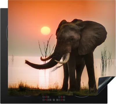 Produktbild von KitchenYeah© Herdabdeckplatte Afrikanischer Elefant am Karibasee , 57x51cm, Küche Deko, Glaskeramikkochfeld Herdabdeckung, Abdeckplatte fùr Kochfeld