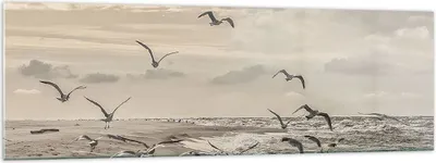 Produktbild von Bilder auf glas - Einteilig - Möwen Küste Boho - 160x50cm - Glasbilder - Wandbilder - Bilder - zum Aufhängen bereit - Wanddekoration aus Glas - Glas Bilder - Wandbild auf Glas - GAB160x50-4723