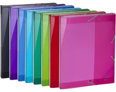 Image de Exacompta 8x Boite de classement en PP Dos 25mm PP A4 Couleurs assorties 59670E