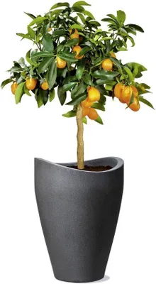 Immagine prodotto di Vaso in plastica - nero granito - diametro 29,8 cm