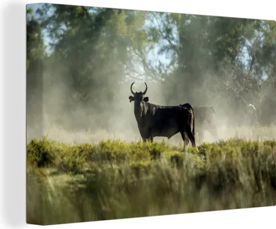 Produktbild von OneMillionCanvasses® - Leinwandbilder - 140x90 cm, Schwarze Stiere in der Camargue, Wandbilder Kunstdruck Wanddekoration