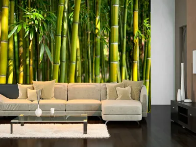 Produktbild von Vlies Fototapete 400x280 cm Tapeten Wandtapete XXL Bambus Baum Bäume Bambusweld Natur Wald grün Asien b-B-0072-a-b