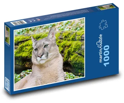Produktbild von Puzzle 1000 Puma in der Wildnis - martinpuzzle