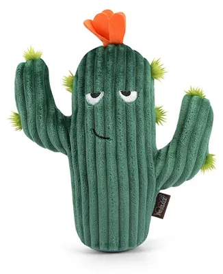Image de Cactus P.L.A.Y