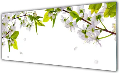 Produktbild von Glasbilder 125x50 Wandbild Druck auf Glas Blumen Blätter Natur