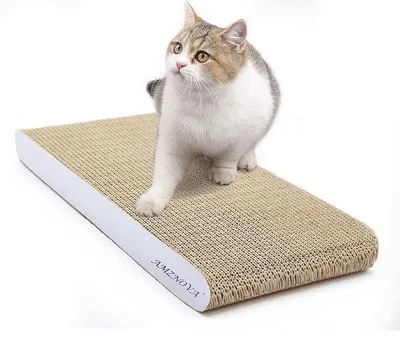 Immagine prodotto di Lettiera per gatti in cartone, adatta ai gatti, 7 colori, 2 misure