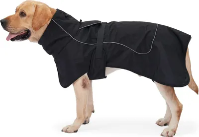 Produktbild von Hundejacke Wasserdichter Hundemantel Reflektierende Jacke für kaltes Wetter mit weichem Fleecefutter Warmer Mantel für Hund Indoor & Outdoor CampinXL